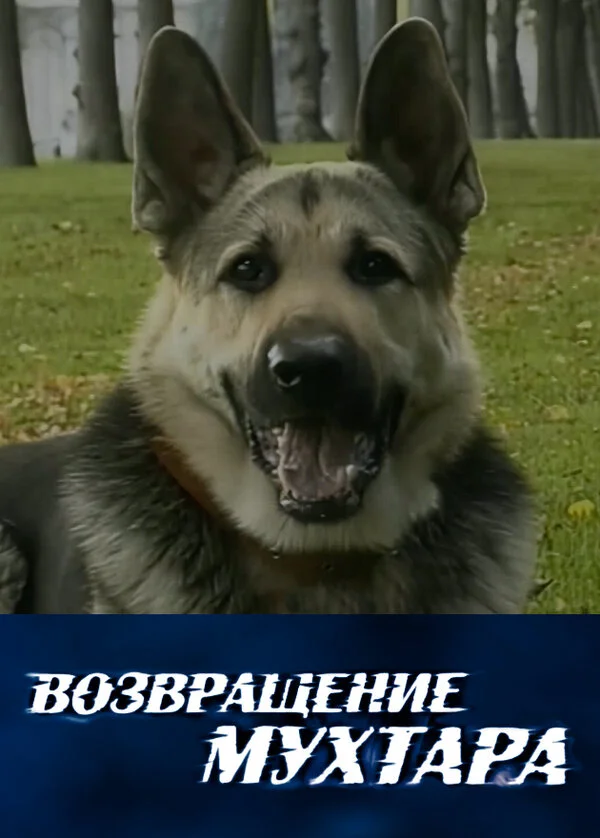 Возвращение Мухтара - постер сериала
